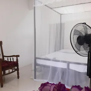 https://t-u-homestay.negombohotels.net